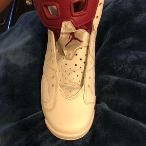 Jordan Retro 6s